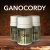 Ganocordy