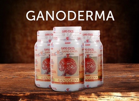 Ganoderma 90