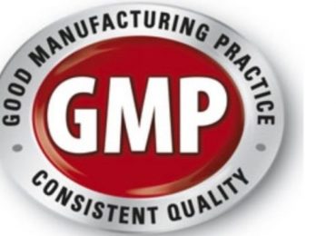 GMP Belgesi